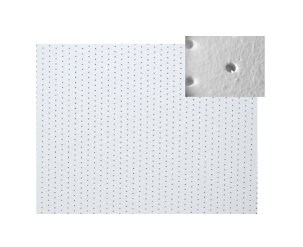 Sound Micropore